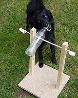 Hunde-Spiele selbstgemacht!