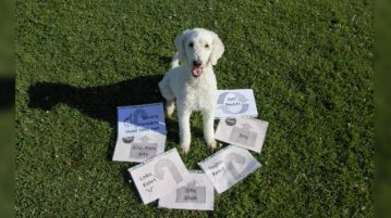 Pudel mit Rally Obedience Anweisungen