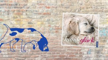 Rezension: „Hundeglück“ von Kate Kitchenham Buch-Rezension Hundeglück Kitchenham