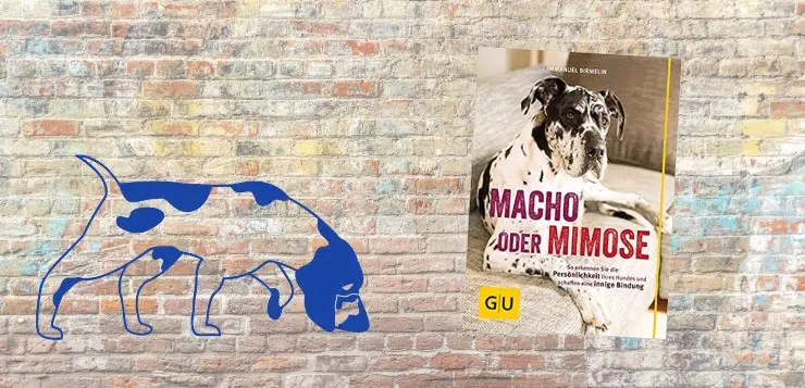 Buch-Rezension, Macho oder Mimose, Birmelin