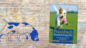 "Praxisbuch Hundefotografie" Buch-Rezension