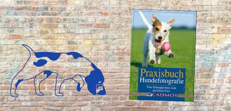 "Praxisbuch Hundefotografie" Buch-Rezension