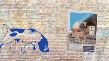 Buch-Rezension SchaSu, Gauchat