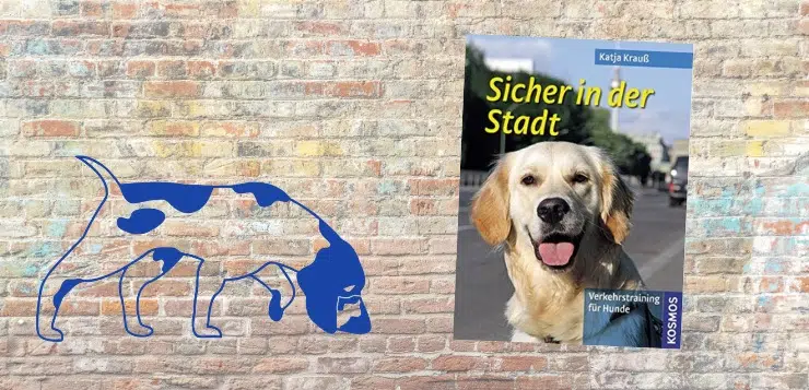 Sicher in der Stadt Buch-Rezension