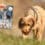 Schnupper-Abo | 3 Ausgaben für nur 12,90 €