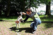 Hunde-Trick ‚Boomer‘