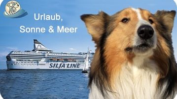 Nach Skandinavien mit Hund reisen