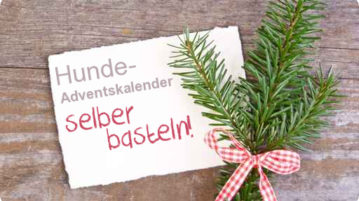 Anleitung: Hunde-Adventskalender selbst basteln