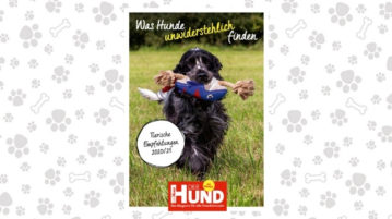 Was Hunde unwiderstehlich finden: Tierische Empfehlungen