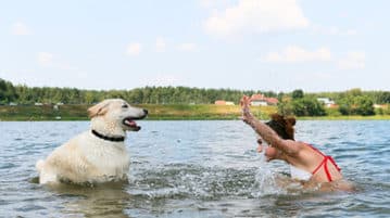 Diesen Sonntag
machen wir einen Ausflug an den See