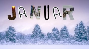 Wer hat die Fotowahl im Januar für sich entschieden?
