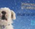 Hund im Schnee