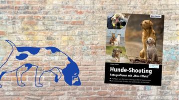 Buch-Rezension Hunde-Shooting, Regine Heuser