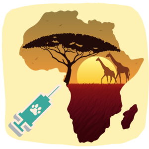 Gegen Tollwut: Impfen für Afrika