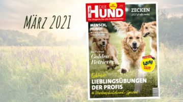 Das Cover der DER HUND Ausgabe im März 2021 zieren rennende Golden Retriever