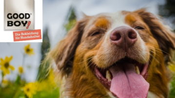 Gewinne die Jacke Lomma von Good Boy!