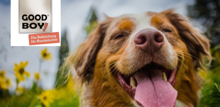 Gewinne die Jacke Lomma von Good Boy!