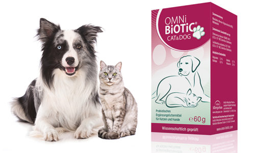 Packshot DogCat 740x450px_01 Packshot DogCat 740x450px_01
