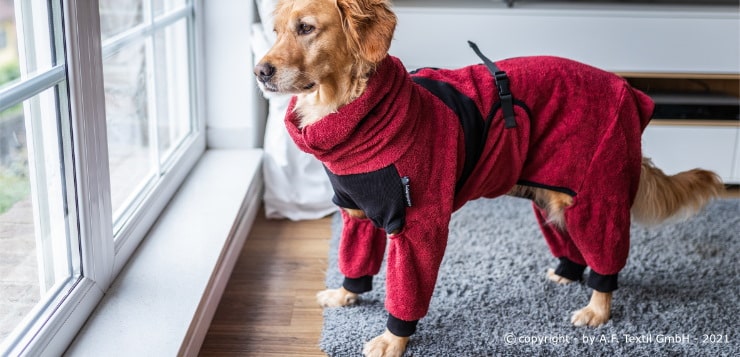 Gewinne einen Dryup body zip.fit Hundebademantel