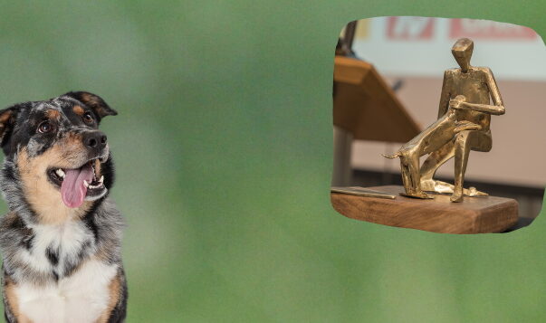22. April – 30. Juni: Bewerbt euch für den Deutschen Tierschutzpreis! Bis zum 30.6.21 kann man sich für den Deutschen Tierschutzpreis bewerben und andere vorschlagen.