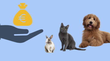 NEU: Corona-Hilfe für Tierheime vom Bund Einmalzahlung für Tierheime, April 2021