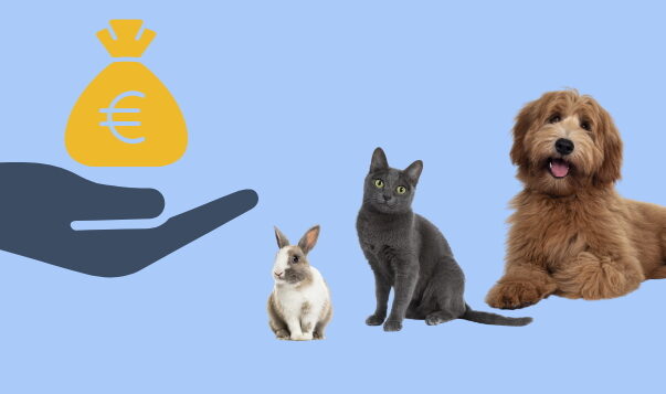 NEU: Corona-Hilfe für Tierheime vom Bund Einmalzahlung für Tierheime, April 2021