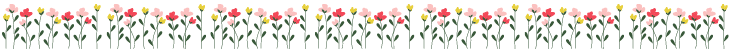 Bunte Fruehlingsblumen