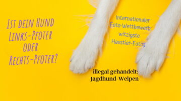 Hunde-News im April 2021