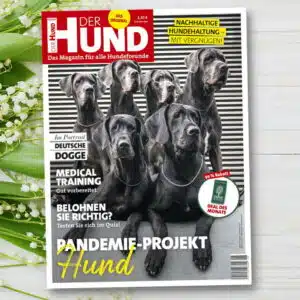 Das Cover der Mai-Ausgabe 2021 von DER HUND zeigt fünf Deutsche Doggen