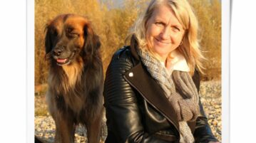 Der unsichere Hund