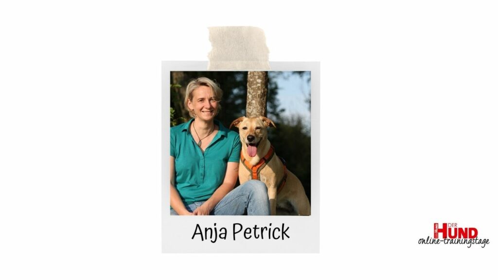 Dein Hund flippt aus, wenn es an der Tür klingelt oder die Schiebetür des Fahrzeugs der Paketzusteller aufgeht? Mit Anja Petrick gehen wir das Problem an!