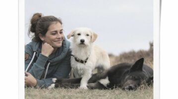 Kommunikation: wie du es deinem Hund leicht machst, dich zu verstehen.