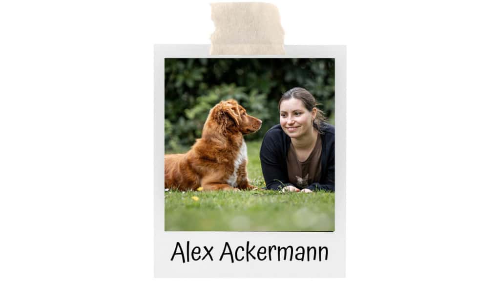Hundetrainerin Alexandra Ackermann teilt Ideen mit uns, wie wir den Alltag mit Hund noch spannender und spaßiger gestalten. Lass dich inspirieren!
