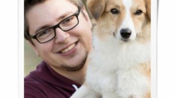Tierschutzhunde richtig fördern