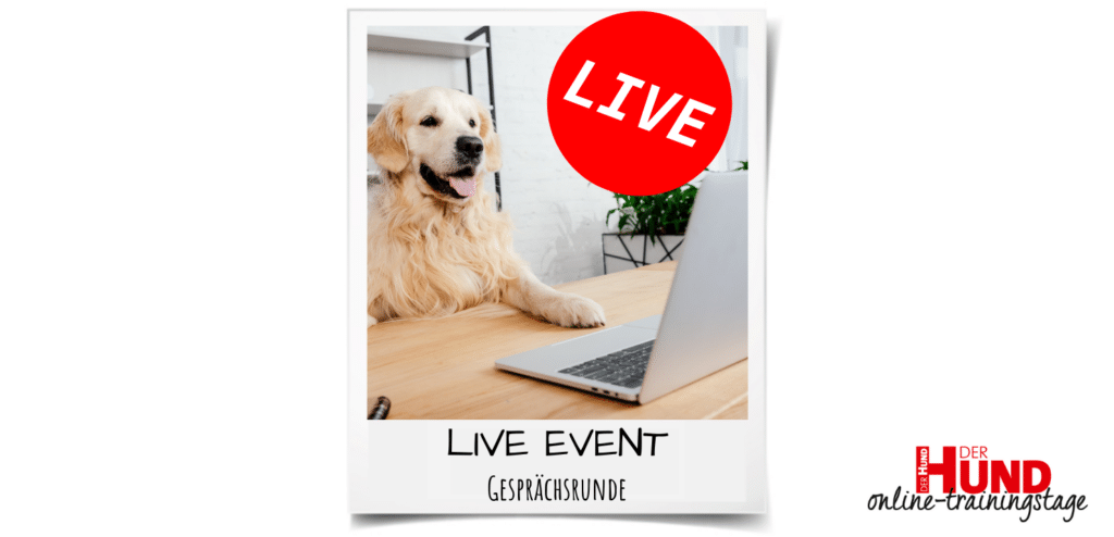 Zusammen mit Claus Reichinger, Vorstandsmitglied im Tierschutzverein München e.V., dreht sich in diesem Live-Event alles um 