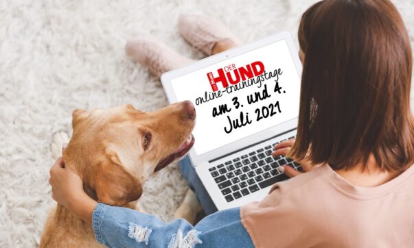 Die DER HUND Online-Trainingstage