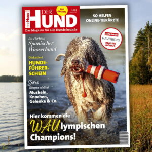 DER HUND Ausgabe Juli 2021 Cover