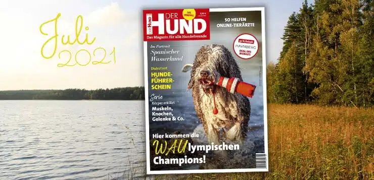 Cover Juli Ausgabe DER HUND