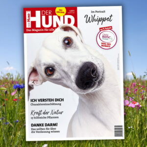 Cover DER HUND Juni-2021