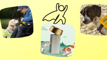 Hunde-News: Juni 2021 Hunde-News Juni 2021