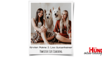 Harmonisches Miteinander