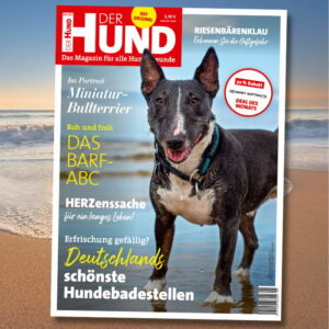 Das Cover der August-2021-Ausgabe, mit einem dunklen Mini-Bulli mit weißen Abzeichen, der am Strand steht und Richtung Kamera schaut.