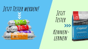 Juli 2021: Unsere aktuellen Community-Tests PURBELLO HundeRolle (Nassfutter); Original von Orijen (Trockenfutter)