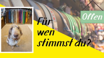 Wir suchen Deutschlands coolste Hundeläden!