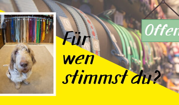 Wir suchen Deutschlands coolste Hundeläden!
