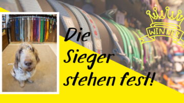 Die Sieger stehen fest! Abstimmung für Deutschlands coolste Hundeläden