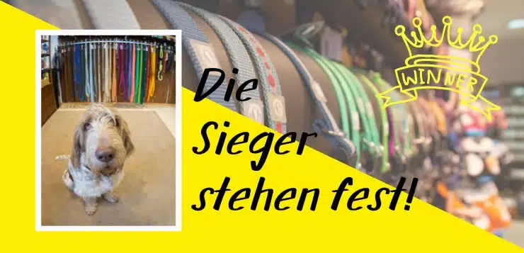 Die Sieger stehen fest! Abstimmung für Deutschlands coolste Hundeläden