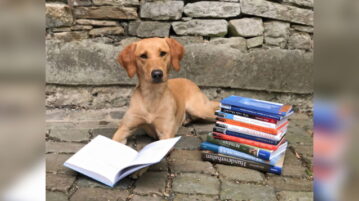 Neuer Berufsabschluss auf Bachelor-Niveau: IHK-Hundefachwirt:in Ein Hund liegt neben einem Bücherstapel und schaut in die Kamera.