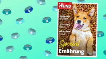 Cover DER HUND Special Ernährung, ein satter junger Hund liegt auf dem Rücken und schaut in die Kamera.