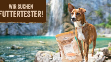Wir suchen Mensch-Hund-Teams, die das Futter True Fresh von Carnilove testen!